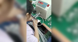 На видео показали процесс упаковки зарядных кабелей на фабрике в Китае