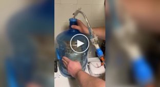 Самодельная ингаляционная камера для кота