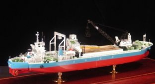 Модели реальных грузовых кораблей (53 фото)