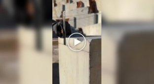 Завораживающее искусство работы с камнем