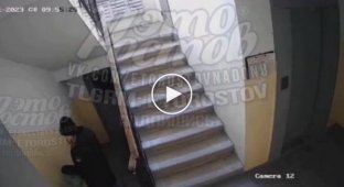 В Ростове дед-извращенец пытался силой затащить 10-летнюю девочку к себе в квартиру