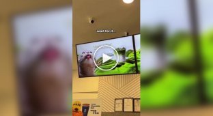 У малайійській кав'ярні знайшли геніальний спосіб привернути увагу до мене