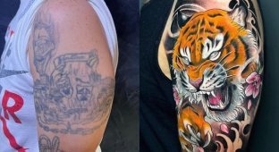 “Before and after”: old tattoos that have been given a new life (15 photos)
