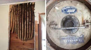 20 things found only thanks to renovations (20 photos)
