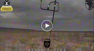 Arrival of a Ukrainian FPV drone along the Russian military in the Bakhmut direction