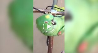 Майже мотоцикл