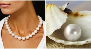 What determines the price of natural pearls (6 photos)