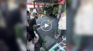 У Китаї кілограм лохини продають всього за 6 доларів