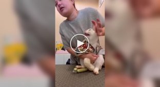 Дерзкое нападение