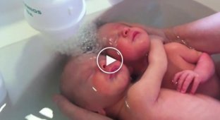 Новорожденные близнецы наслаждаются первым купанием