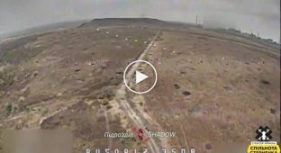 Avdiivka direction, arrival of a Ukrainian kamikaze drone against a group of Russian military personnel