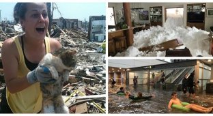 30 прикладів стійкості людей і тварин перед стихією (31 фото)