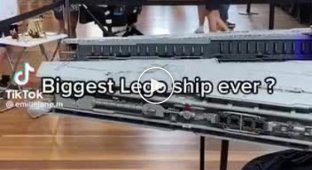 LEGO Star Wars ship took 14 months to build