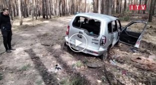 В лесу возле Ирпеня найден автомобиль с расстрелянной семьей