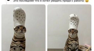 Fluffy Pope (3 photos)