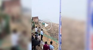 Массовое гнездование морских черепах в штате Одиша в Индии