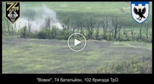 Воздушная разведка «Волки» 74-го батальона территориальной обороны корректирует работу артиллерии
