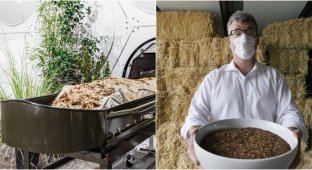 Компост із покійників вирішили легалізувати у Каліфорнії (4 фото)