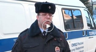 Полиция поймала поросенка в тоннеле на ТТК в Москве