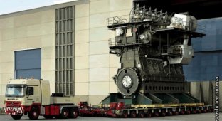 The largest diesel engine for ships (8 photos)