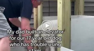The owner made an elevator for a dog that has difficulty walking