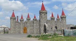 Замок в Акимовке (11 фото)