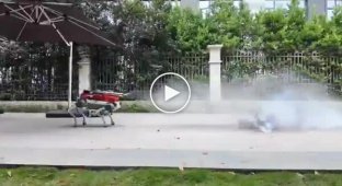 Firefighting robot dog