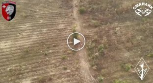 A Russian soldier puts the barrel of a machine gun in his mouth and commits suicide