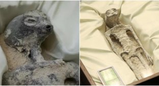 Уфолог заявили, что "тела инопланетян" из Перу — настоящие (5 фото + 1 видео)
