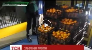 В России тракторными гусеницами раздавили более двухсот килограммов турецких мандаринов
