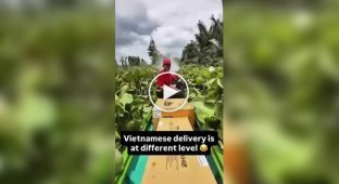 In Vietnam, couriers "fly" along rivers in motorboats to deliver parcels on time