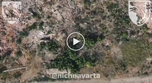 The body of an occupier flies out of the bushes and rises high into the air after being dropped by a drone