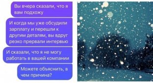 Когда снег помешал получить работу мечты (8 фото)