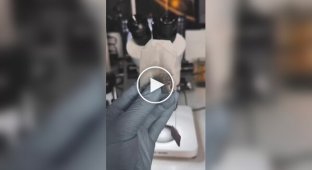 Любителям чайних пакетиків присвячується