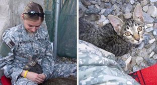 Эта женщина-военнослужащая отказалась оставить больного котенка одного в Афганистане (8 фото)