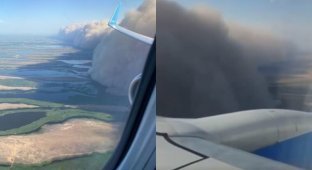 "Все, пробили эту фигню": пассажиры сняли на камеру приземление самолета в пыльную бурю (4 фото + 1 видео)