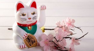 Where did the cat with the paw come from - maneki-neko (8 photos)