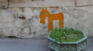 Во дворах Петербурга появились странные рисунки (12 фото)