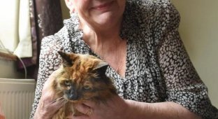 The oldest cat on the planet has died: Rosie was 34 (3 photos)