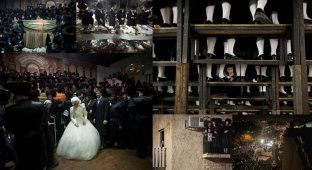 Свадьба еврейских ортодоксов (10 фото)