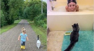 15 cats who decided to try on the role of a nanny (16 photos)