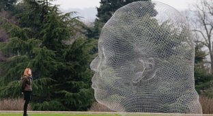 Джауме Пленса в Йоркширском парке скульптур (6 фото)
