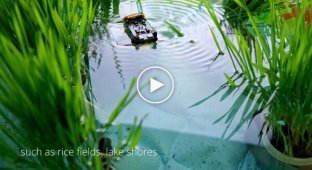 Unusual water robot
