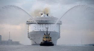 The largest cruise ship in the history of shipbuilding has launched. Look what's inside it!