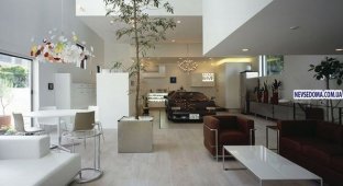 Хотите наслаждаться Lamborghini Countach у себя в гостиной? (8 фото)