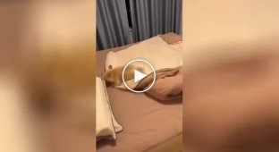 A Dog's Funny Bedtime Ritual