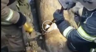 В Питере полуголый парень застрял в канализационной трубе