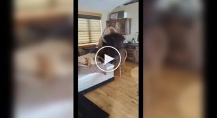 Домашній вихованець якого складно вигнати з дому
