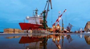 Архангельский морской торговый порт — ворота в Арктику (28 фото)
