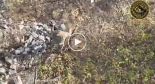 National Guardsmen from the Kara-Dag brigade eliminated a group of Russian invaders in the Pokrovsky direction